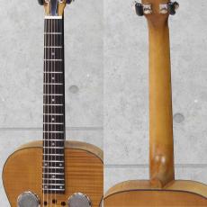 Epiphone Dobro Hound Dog Deluxe Round Neck Vintage Brown 2013_5