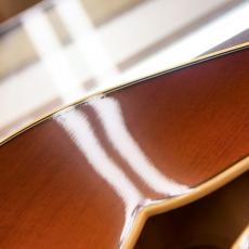 Ibanez AF151F-VLS_4