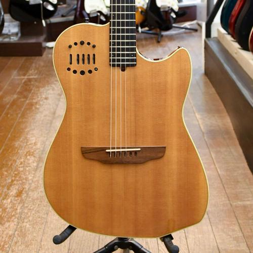 Godin Multiac Duet Steel
