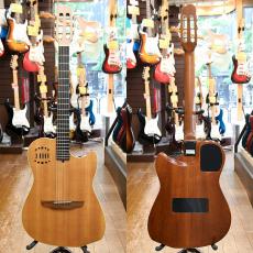 Godin Multiac Duet Steel_2