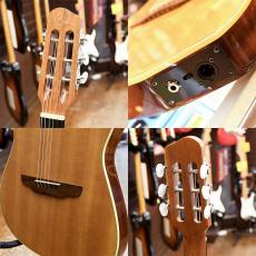Godin Multiac Duet Steel_3