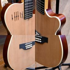 Godin A12_3