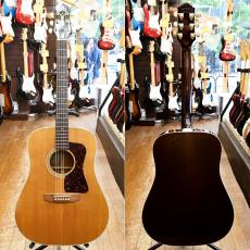 Guild D-6EHG_2