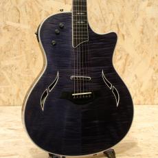 Taylor T5 Pro 2014