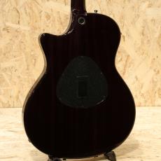 Taylor T5 Pro 2014_2