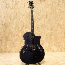 Taylor T5 Pro 2014_3