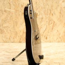 Taylor T5 Pro 2014_4