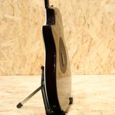 Taylor T5 Pro 2014_5