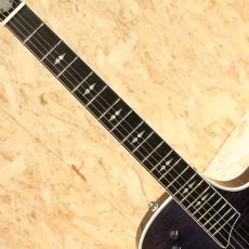 Taylor T5 Pro 2014_6