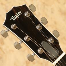 Taylor T5 Pro 2014_8