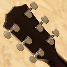 Taylor T5 Pro 2014_9