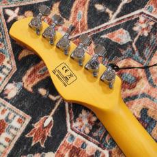 Sire Larry Carlton S7 HSS New Gen Sky.SP_7