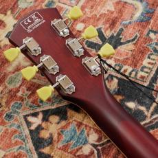 Sire Larry Carlton L5 TS_7