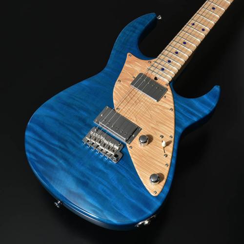 STR GUITARS STR JTG Design HH TOCHI/ASH BLU