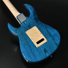STR GUITARS STR JTG Design HH TOCHI/ASH BLU_3