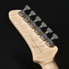 STR GUITARS STR JTG Design HH TOCHI/ASH BLU_5