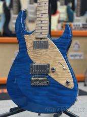 STR GUITARS STR JTG Design HH TOCHI/ASH BLU_7