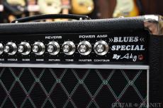 AKG Sound Design Blues Special Reverb 22W Att Combo -Black Tolex & Black Diamond Grill Cloth- USED!!_7