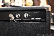 AKG Sound Design Blues Special Reverb 22W Att Combo -Black Tolex & Black Diamond Grill Cloth- USED!!_9