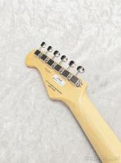 FUJIGEN NTE210RAH BK【H240967】【3.47kg】_9