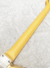 FUJIGEN NTE100MAH Off White Blonde【A240527】【3.60kg】_8