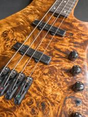 Ibanez MDM1600 -Natural Mocha Low Gloss-【3.78kg】_3