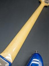 FUJIGEN NJB100MBAH -See Thru Blue Burst-【4.26kg】_9