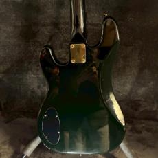 Aria Pro II Diamond series PJ【4.06kg】_6