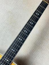 Taylor 【超激レアな一本!!】810B 2000年製【ハカランダサイドバック】【最大48回無金利】_5