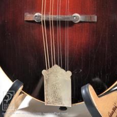 Gibson F-4_10
