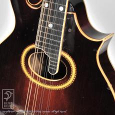 Gibson F-4_11