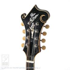 Gibson F-4_7