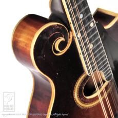 Gibson F-4_12