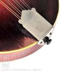 Gibson F-4_14