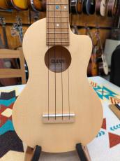 Quiam TNC Custom200 【コンサートサイズ】