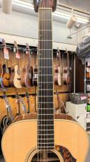 Morris FE-101 【モリダイラ楽器 特選モデル】_6