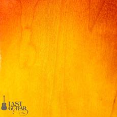 Gibson ES-175D 70s_10