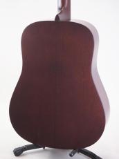 Martin Martin D-1 (管理番号4886)_4