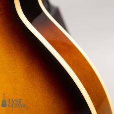 Rozeo Ladybug SM-TBC HB/VS_10