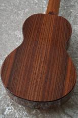 THE REBEL N.E.O Limited Edition Tenor【オール単板】【マルコとマルオ10%OFF】【町田店】_9
