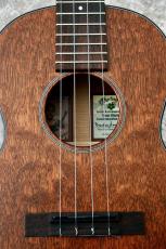 Martin 1T IZ Tenor Uke【Tenor】【Quilted Mahogany】【2024年製】【マルコとマルオ10%OFF】【町田店】