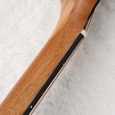 Taylor 【チョイ傷特価!】 214ce Walnut 【動画】【トリファイドスプルース】【マルコとマルオ10%OFF】【町田店】_4
