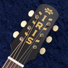 IRIS GUITAR COMPANY The MS-00 Model Relic 【動画】【マルコとマルオ10%OFF】【町田店】_3