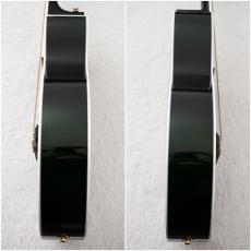 Takamine FPT181AC SGS 【アーチトップ】【マルコとマルオ10%OFF】【町田店】_10