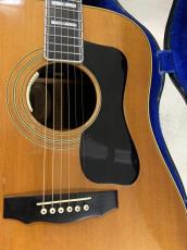 Guild D-55 NAT 1978年製 L.R Baggs Anthem ピックアップ付き!_4