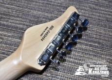 SCHECTER OL-TE-SH-FXD/R【スポット生産!】_4