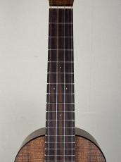 Martin OXK Concert Uke #12443_4