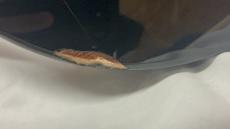 Epiphone Les Paul Tribute Plus_9