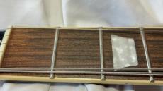 Epiphone Les Paul Tribute Plus_10