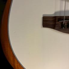 Fender Acoustasonic Player Telecaster Arctic White 2022【2.13kg】_15
